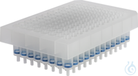 NucleoSpin 96 Plasmid TG (1x96) NucleoSpin 96 Plasmid Transfection-grade(1x96) 1 x 96 preps for...