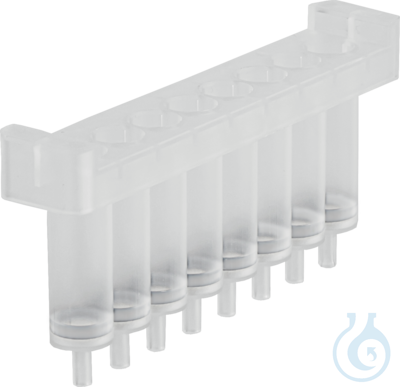 NucleoSpin 8 Plasmid (12x8)