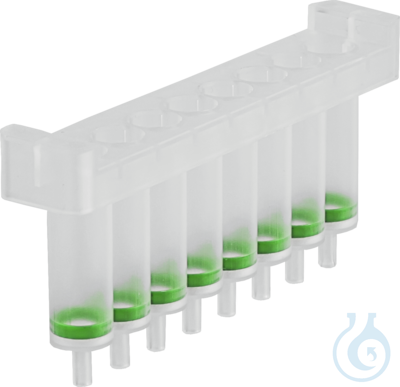 NucleoSpin 8 Tissue (12x8)