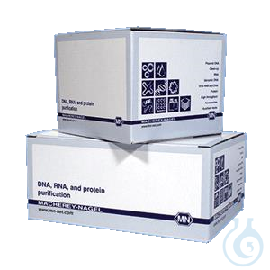 NucleoSpin Tissue Columns (50)