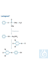 Lactognost qualitative analysis of phosphatase, Set Lactognost I, II und III...