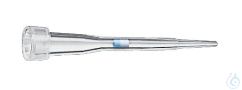 epDualfilter 0.1-10&micro;L S PCRSter 960