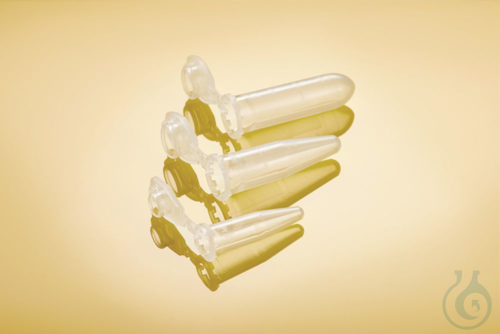 Safe-Lock 2.0 mL, BioB, Ep Qual.