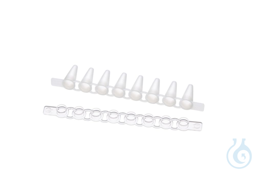 FAST PCR-Tube Strips+caps domed, 120 St.