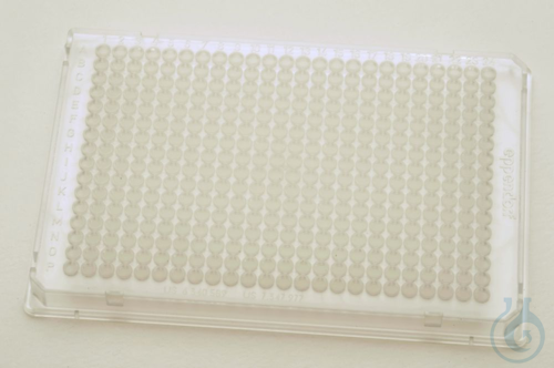 300 PCRPlate384,clear twin.tec