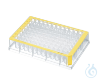 40 DWPs 96x500µl yellow Protein