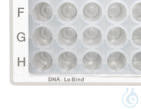 Microplate 96/V-PP klar/weiß DNA 80 St.