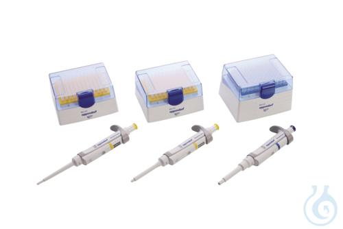 Research plus 3-Pack Option 2