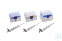 Reference 2 3-Pack Option 1