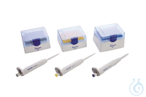 Reference 2 3-pack option 1