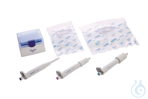 Reference 2 3-Pack Option 3