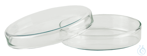 Petri dishes of glass with cover &Oslash; x H c...