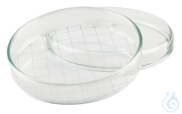 Petri dishes glass with grid 10 x 2 cm