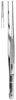 Forceps, dissecting, Semken, straight, 150 mm