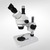 Stereo microscope MSZ5000-T Microscope with photo and video tube, infinitely variable zoom;...