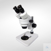 Stereo zoom microscope MSZ5000 without illumination
Head: 45° inclined...