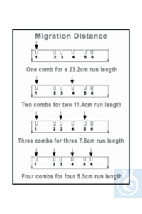 A2 and A5 Large Gel Electrophoresis System Standard Comb Prep comb 2 - 1.5mm A2 and A5 Large Gel...