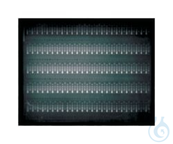 Owl&trade; A6 Horizontales Wide-Gel-Elektrophor...