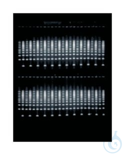 Owl&trade; EasyCast&trade; B3 Gel System with B...