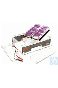 Owl&trade; Gelträgerhalter für das A2-OK Multiple Gel System Gel Tray Halter für A2- OK großen...