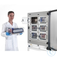 Heracell™ VIOS™ 160i CO-2 Inkubator mit Cell Locker™-System Heracell™...