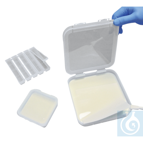 neoLab&reg; Blotting-Behaelter, PP, 165 x 165 m...