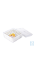 neoChoice Ablagekasten, 12 x 12 x 5,5 cm, 49 Plätze Transparenter Ablagekasten aus Polystyrol mit...