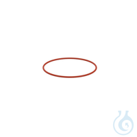 SY O-Ring 150 HT, O-ring DN 150 SY O-Ring 150 HT, O-ring DN 150  PFA-coated...