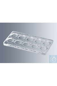 Tüpfelplatten nach Boerner, mit 10 optisch blank gepressten Vertiefungen von...