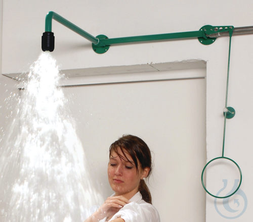 Body safety shower for surface-mounted over-doo...