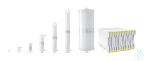 Sartobind® Q Capsule 600 mL with 4 mm bed height