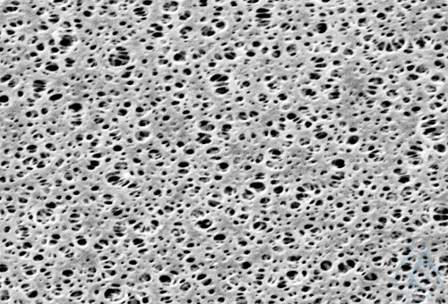 Polyethersulfon Membranfilter / Typ 15407