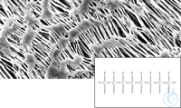 PTFEMembran;0,2m;142mm;25pc;n;st The hydrophobic PTFE membrane filters are made of...