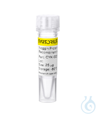 Recombinant human Noggin protein 0.025mg Free delivery on RUO growth factors...