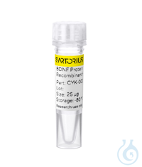 Recombinant human BDNF protein 0.025mg Free delivery on RUO growth factors...