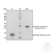 Recombinant human TGF-?1 PLUS protein Free delivery on RUO growth factors and...