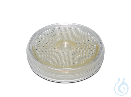 Nitrocellulose w/grid, 0.8µ, 80mm, 100Pk