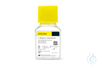 L-Alanyl-L-Glutamine (Stable Glutamine) 200 mM, 100ml