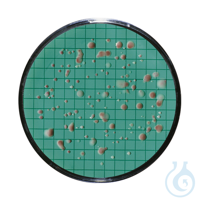 Nährkartonscheiben Standard TTC 0,45 µm, 47 mm, mit Gitternetzfiltern VE=100...