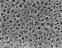 CAMembran,1.2µm,50mm,100pc, Celluloseacetat Membranfilter / Typ 12303 Die hydrophilen...