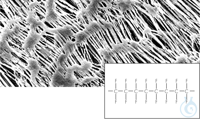PTFEMembran,0,45 µm,13mm,100St, Hydrophobe PTFE Membranfilter / Typ 11806