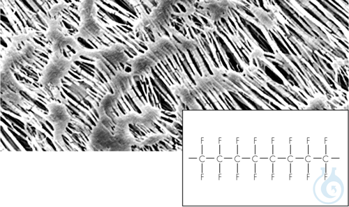 PTFEMembran,0.45&micro;m,90mm,25pc, Hydrophobe ...