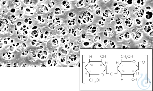 Regenerierte Cellulose (RC) Membranfilter