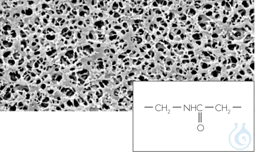 PA Membran, 0,2 &micro;m, 47 mm, 100 St., Polya...