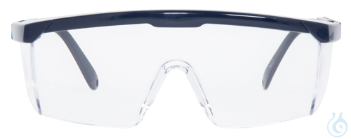 Schutzbrille CLAREX farblos