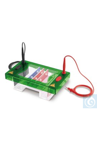 ROTIPHORESE® Kammer PROfessional II, Komplettset, Gelmaße 10 x 10 cm, 1 Stück ROTIPHORESE® Kammer...