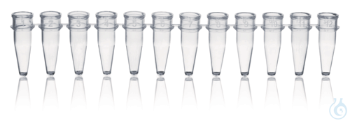 PCR-Gefäße, 12er, PP, ohne Deckel, 0,2 ml, farblos, VE = 80 Strips