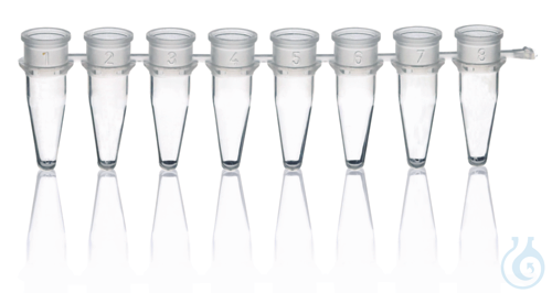 PCR-Gefaess, m. 3 Stegen, 8er, weiss, 0,15 ml a...
