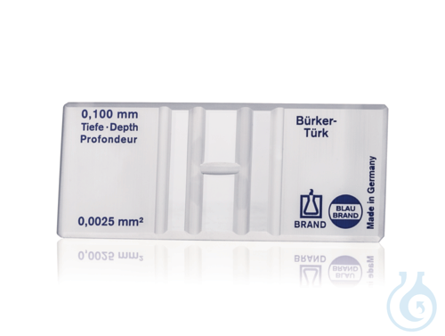 Zaehlkammer BLAUBRAND n. Buerker-Tuerk, o. Fede...