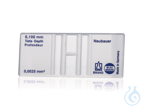 Zaehlkammer BLAUBRAND nach Neubauer, o. Federkl...